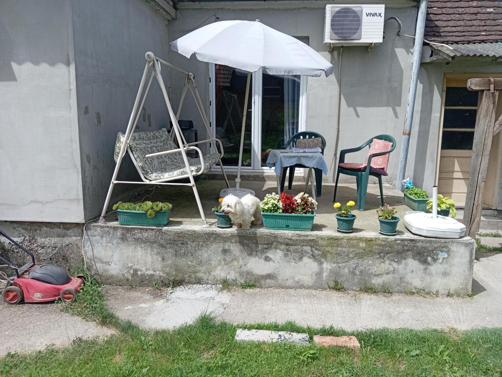 "Poetsko Cose" Nikole Tesle 86 Guest House Morovic Exterior photo